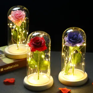 Rose Lamp Under Glass Shade – Artificial Rose Night Light