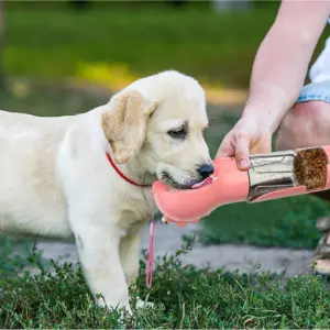3-in-1 Portable Dog Water Bottle with Food Box & Bag Holder