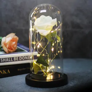 Enchanted Rose in Glass Dome – LED Light Gift
